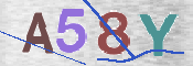 CAPTCHA (Şahıs Denetim Kodu) Resmi