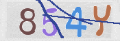 CAPTCHA (Şahıs Denetim Kodu) Resmi