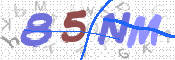 CAPTCHA (Şahıs Denetim Kodu) Resmi