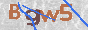 CAPTCHA (Şahıs Denetim Kodu) Resmi