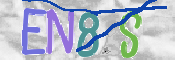 CAPTCHA (Şahıs Denetim Kodu) Resmi
