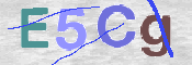 CAPTCHA (Şahıs Denetim Kodu) Resmi