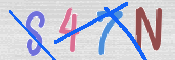 CAPTCHA (Şahıs Denetim Kodu) Resmi