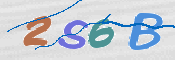 CAPTCHA (Şahıs Denetim Kodu) Resmi