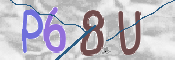 CAPTCHA (Şahıs Denetim Kodu) Resmi