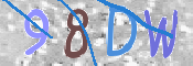 CAPTCHA (Şahıs Denetim Kodu) Resmi