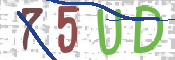CAPTCHA (Şahıs Denetim Kodu) Resmi