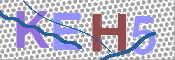 CAPTCHA (Şahıs Denetim Kodu) Resmi