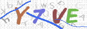 CAPTCHA (Şahıs Denetim Kodu) Resmi