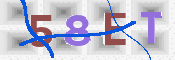 CAPTCHA (Şahıs Denetim Kodu) Resmi