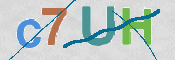 CAPTCHA (Şahıs Denetim Kodu) Resmi