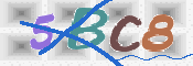 CAPTCHA (Şahıs Denetim Kodu) Resmi