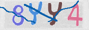 CAPTCHA (Şahıs Denetim Kodu) Resmi