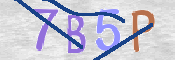 CAPTCHA (Şahıs Denetim Kodu) Resmi