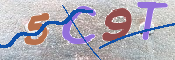 CAPTCHA (Şahıs Denetim Kodu) Resmi