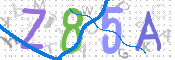 CAPTCHA (Şahıs Denetim Kodu) Resmi