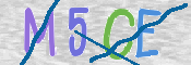 CAPTCHA (Şahıs Denetim Kodu) Resmi