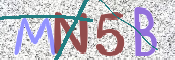 CAPTCHA (Şahıs Denetim Kodu) Resmi
