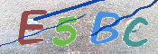 CAPTCHA (Şahıs Denetim Kodu) Resmi