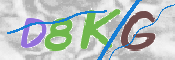 CAPTCHA (Şahıs Denetim Kodu) Resmi