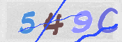 CAPTCHA (Şahıs Denetim Kodu) Resmi