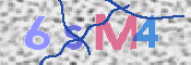 CAPTCHA (Şahıs Denetim Kodu) Resmi