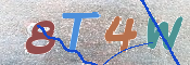 CAPTCHA (Şahıs Denetim Kodu) Resmi