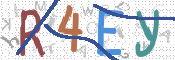 CAPTCHA (Şahıs Denetim Kodu) Resmi