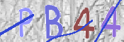 CAPTCHA (Şahıs Denetim Kodu) Resmi