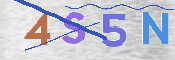 CAPTCHA (Şahıs Denetim Kodu) Resmi