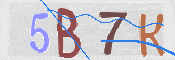 CAPTCHA (Şahıs Denetim Kodu) Resmi