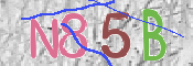 CAPTCHA (Şahıs Denetim Kodu) Resmi
