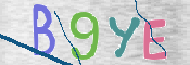 CAPTCHA (Şahıs Denetim Kodu) Resmi
