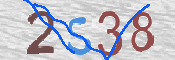 CAPTCHA (Şahıs Denetim Kodu) Resmi