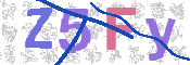 CAPTCHA (Şahıs Denetim Kodu) Resmi