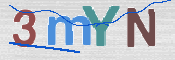 CAPTCHA (Şahıs Denetim Kodu) Resmi