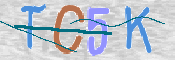 CAPTCHA (Şahıs Denetim Kodu) Resmi