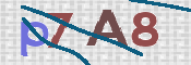 CAPTCHA (Şahıs Denetim Kodu) Resmi