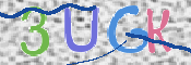 CAPTCHA (Şahıs Denetim Kodu) Resmi