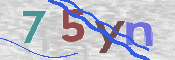 CAPTCHA (Şahıs Denetim Kodu) Resmi