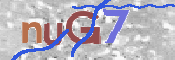 CAPTCHA (Şahıs Denetim Kodu) Resmi