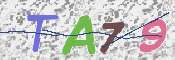 CAPTCHA (Şahıs Denetim Kodu) Resmi