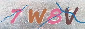 CAPTCHA (Şahıs Denetim Kodu) Resmi