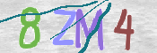 CAPTCHA (Şahıs Denetim Kodu) Resmi