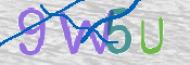 CAPTCHA (Şahıs Denetim Kodu) Resmi