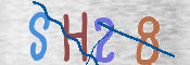 CAPTCHA (Şahıs Denetim Kodu) Resmi