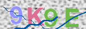 CAPTCHA (Şahıs Denetim Kodu) Resmi
