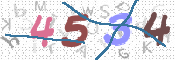 CAPTCHA (Şahıs Denetim Kodu) Resmi
