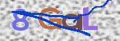 CAPTCHA (Şahıs Denetim Kodu) Resmi