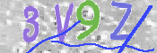 CAPTCHA (Şahıs Denetim Kodu) Resmi